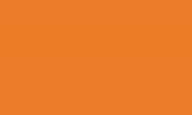 RAL 2011 - Deep Orange