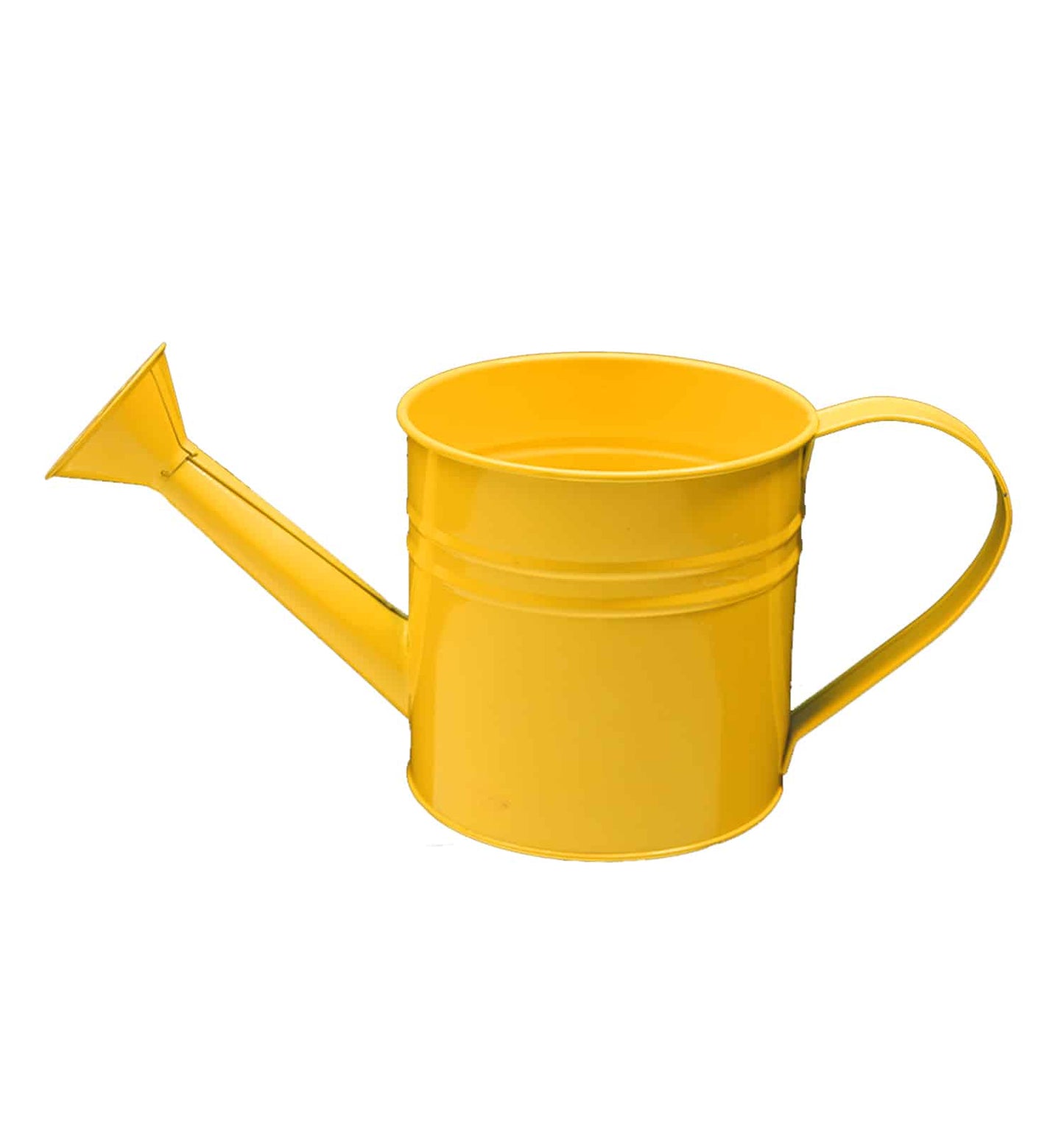 RAL 1003 - Signal Yellow