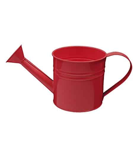 RAL 3002 - Carmine Red