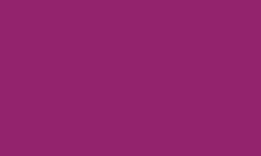 RAL 4006 - Traffic Purple