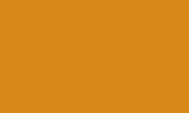 RAL 1007 - Daffodil Yellow