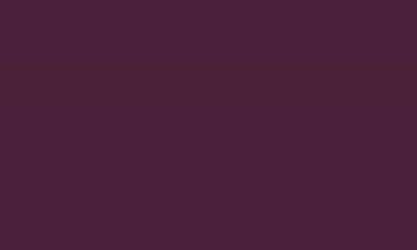 RAL 4007 Purple Violet